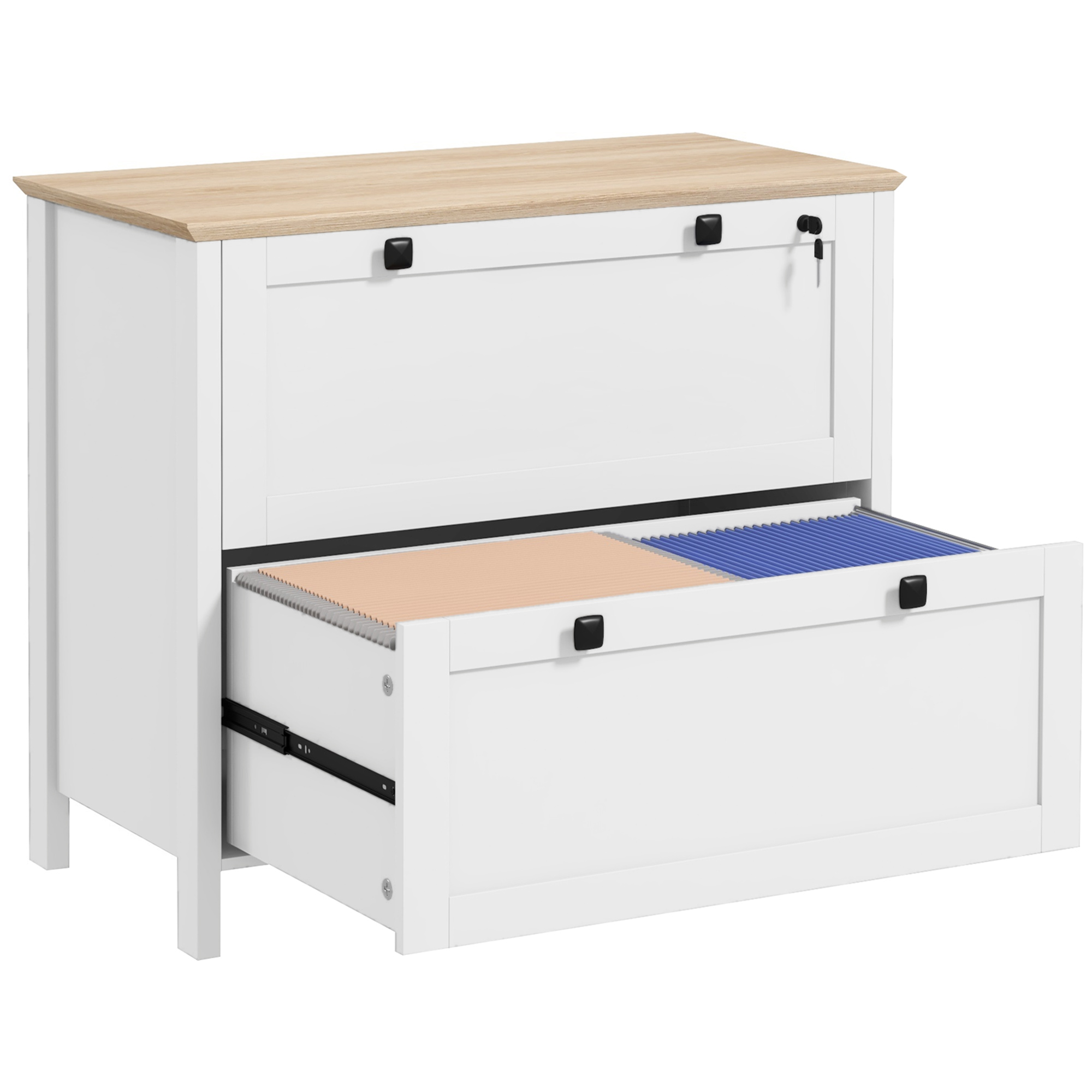 Archiefkast met 2 laden en slo - File Cabinet Lateral recensie en prijs